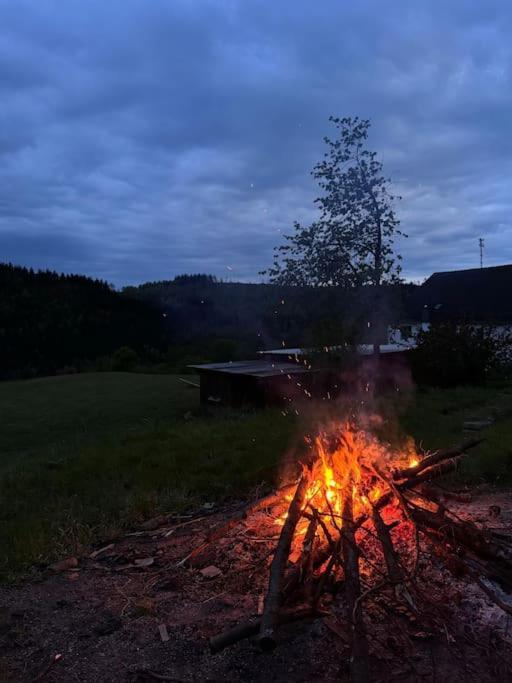 Bornhahn - Idylle Im Westerwald Katzwinkel  Eksteriør bilde