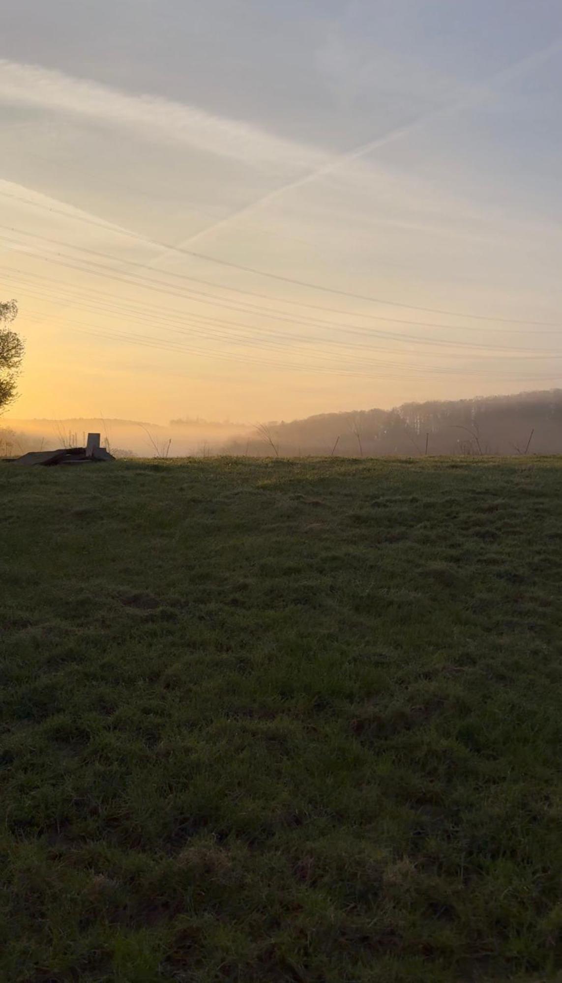 Bornhahn - Idylle Im Westerwald Katzwinkel  Eksteriør bilde